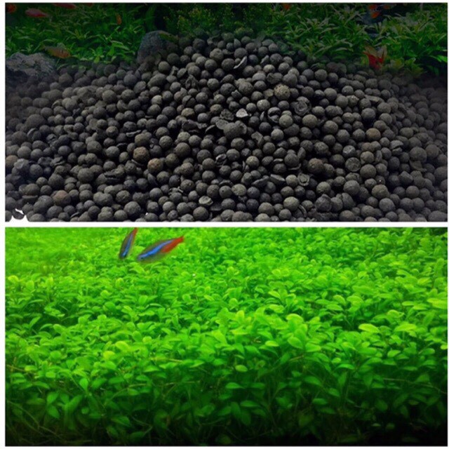 Set 700gram phân nền và hạt giống thủy sinh