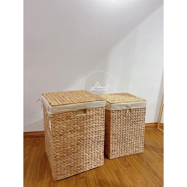 SỌT LỤC BÌNH