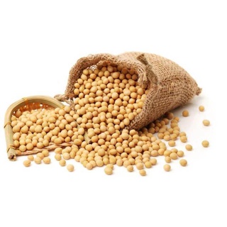 Đậu Nành Quê 500G⚡ FREESHIP ⚡ Đậu Tương - Đỗ Tương Hạt Ngon