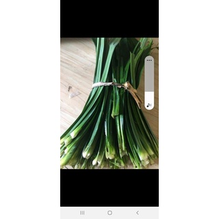2kg lá dứa tươi