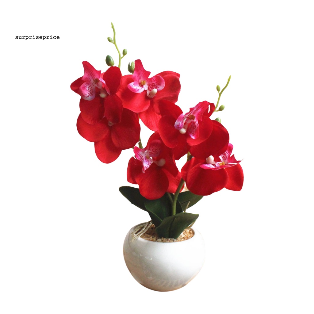 Chậu Cây Bonsai Giả Trang Trí Phòng Ngủ / SPA