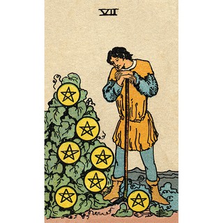 Bộ Bài Smith Waite Tarot Borderless Edition (Guu Tarot Shop)