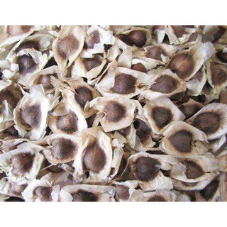 500 gram hạt chùm ngây