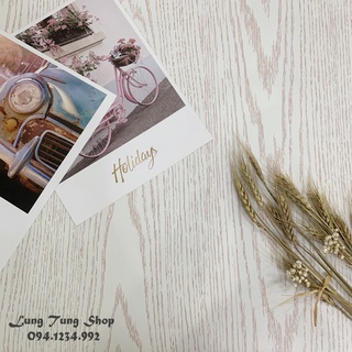 Phông nền giấy dán tường vân gỗ G1 - Thảm chụp hình vân gỗ , decal dán tường bàn tủ có sẵn keo