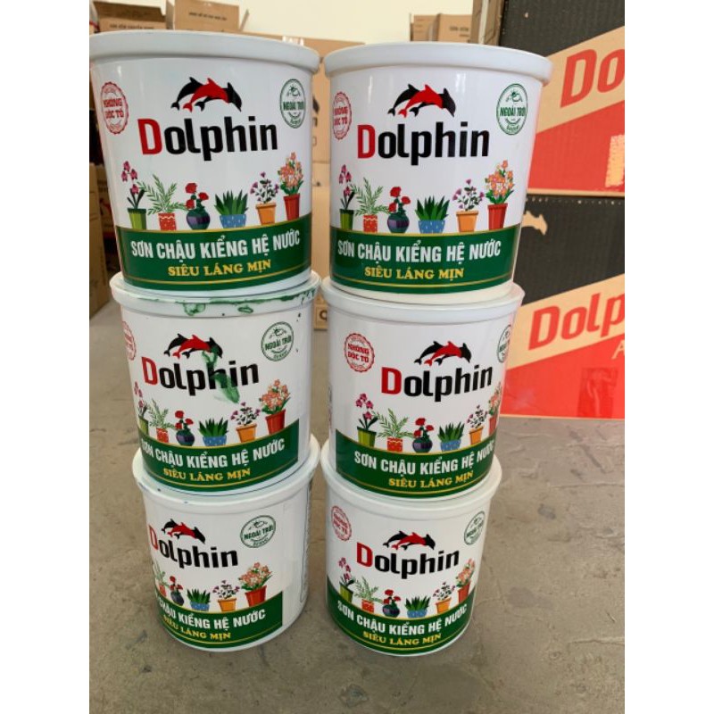 Sơn chậu kiểng Dolphin láng mịn lon 5kg