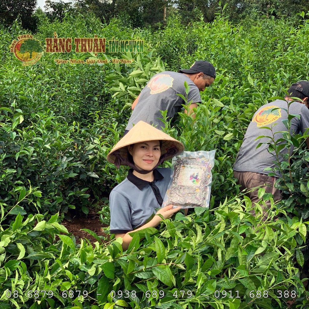 Trà Giảm Cân Detox Hằng Thuận Tây Nguyên