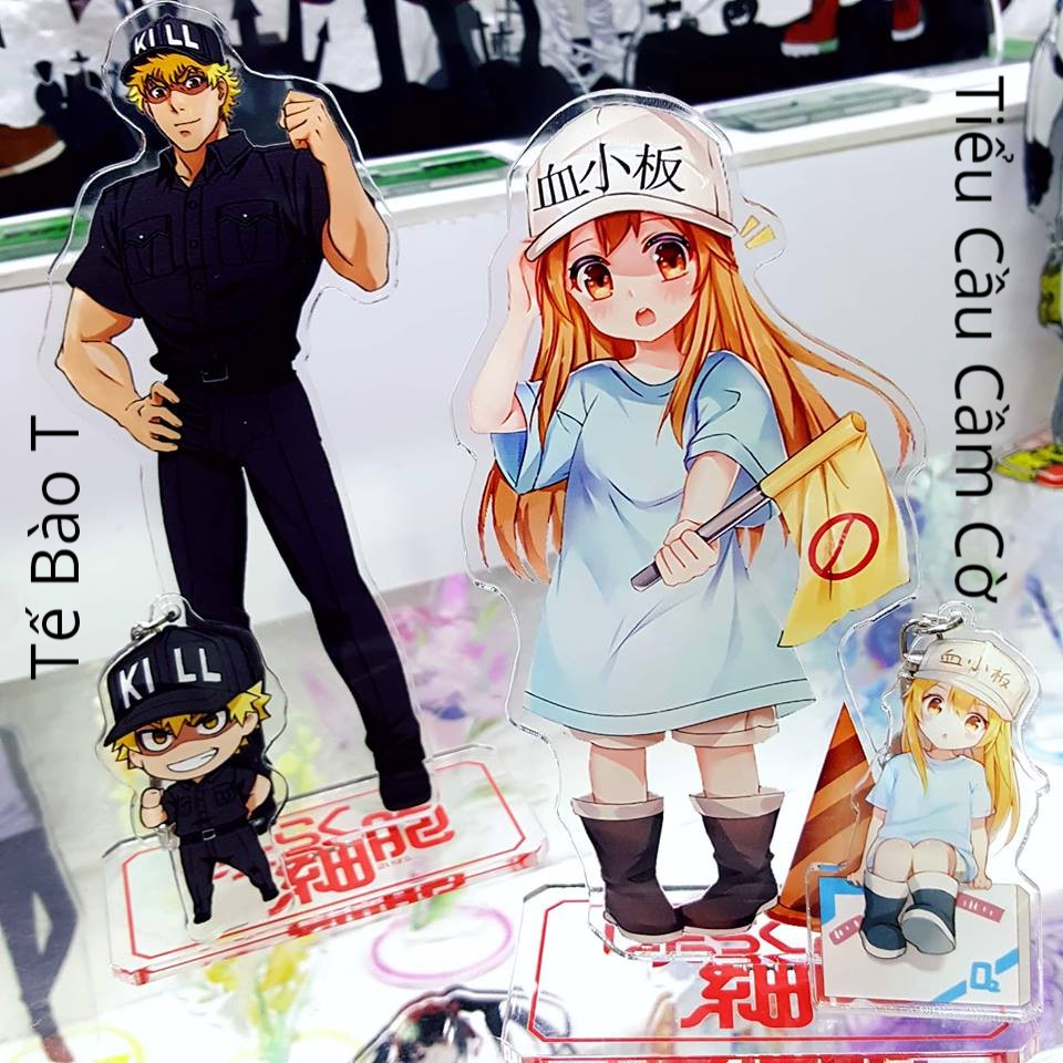 Mô Hình Standee acrylic anime hình Hataraku Saibou (Cells At Work)