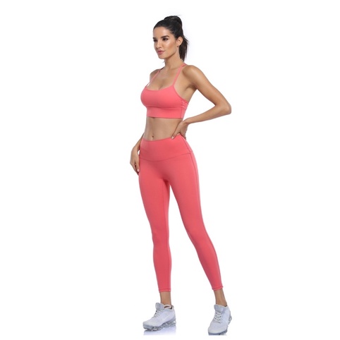 bộ đồ tập gym áo chư Y cao cấp