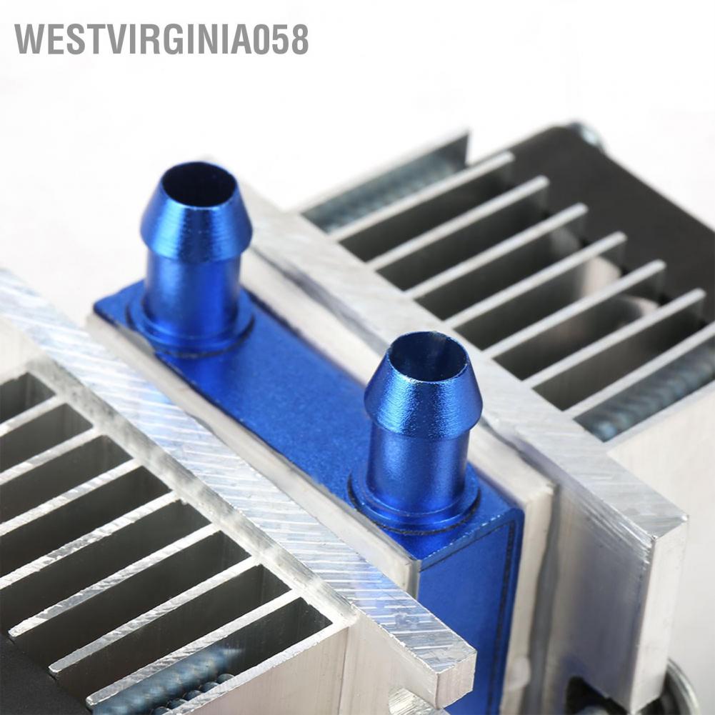 Có thể bán buôn Tự làm Máy mát nhiệt bán dẫn Thiết bị lạnh nước Peltier Westvirginia058 Hàng giao ngay
