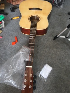 Guitar hồng đào việt
