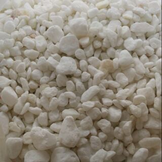 1KG ĐÁ SỎI TRẮNG VIÊN NHỎ DÙNG TRONG TRANG TRÍ CHẬU CÂY,LỌ HOA,HỒ CÁ,CHƠI TIỂU CẢNH... 🌼🌼🌼