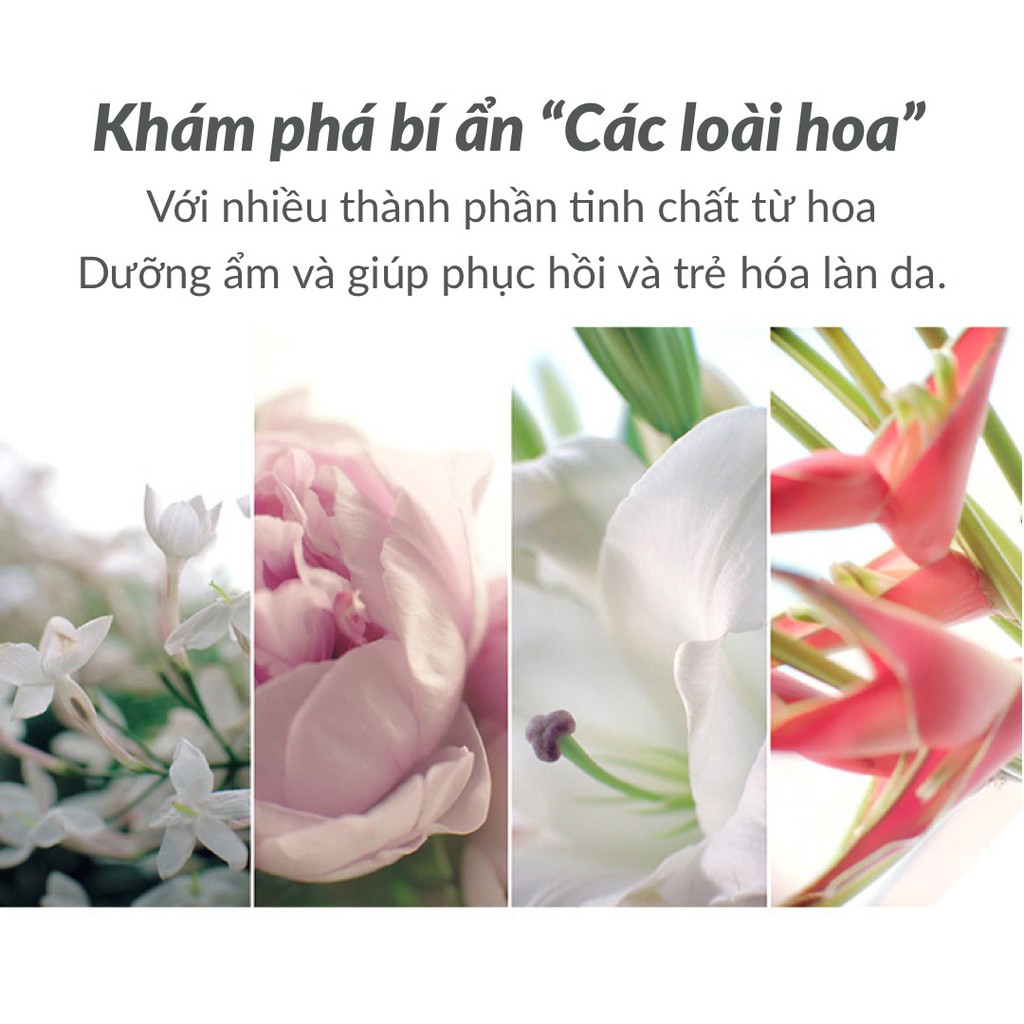 Mặt Nạ Dưỡng Ẩm Hoa Mẫu Đơn Chính Hãng Hamj - Kiềm Dầu Trẻ Hóa Làn Da Se Khí Lỗ Chân Lông