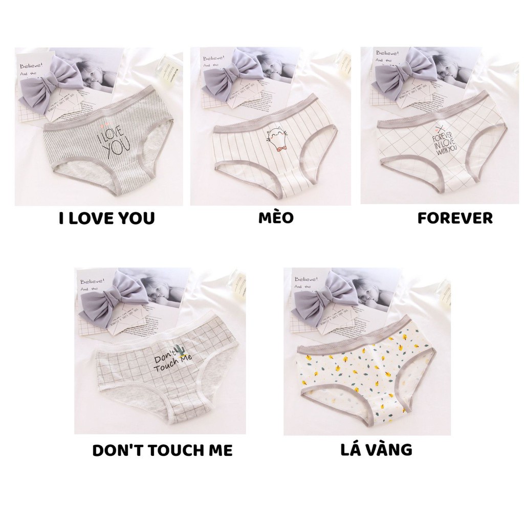 Quần Lót Nữ - Quần Lót Nữ Cotton co dãn thoáng mát hình mèo dễ thương DAN STORE MÃ 3126