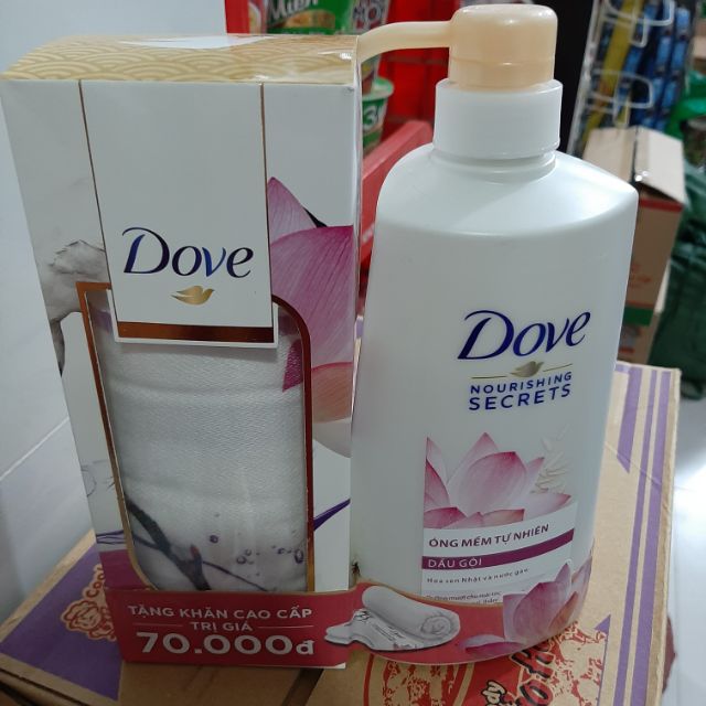 Dầu gội đầu dove