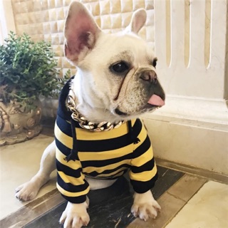 Quần áo thú cưng , quần áo chó mèo , áo chó giá rẻ