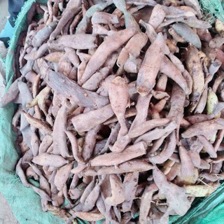 Củ tắc kè đá(1kg)