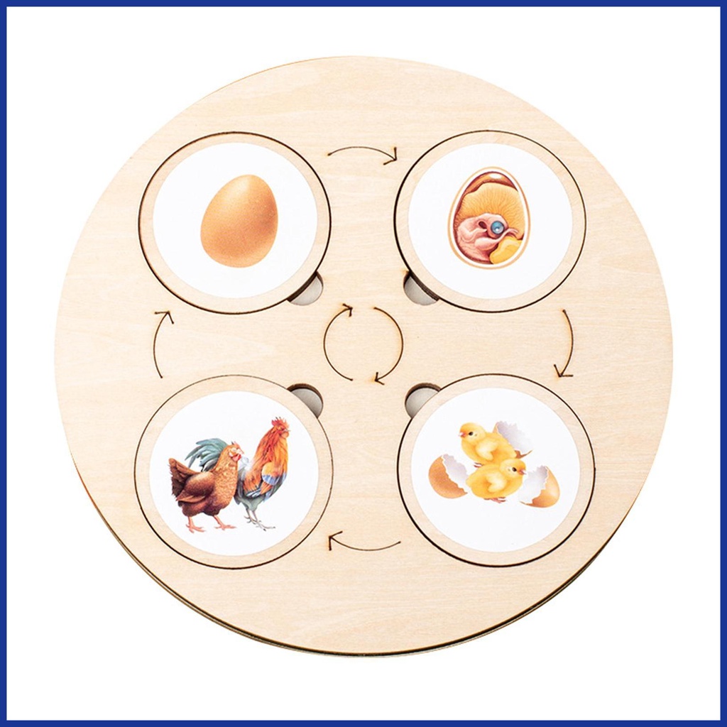 Bộ Đồ Chơi Xếp Hình Vòng Đời Của Đời Sống Bằng Gỗ Kèm Năm Ngăn Dành Cho Bé