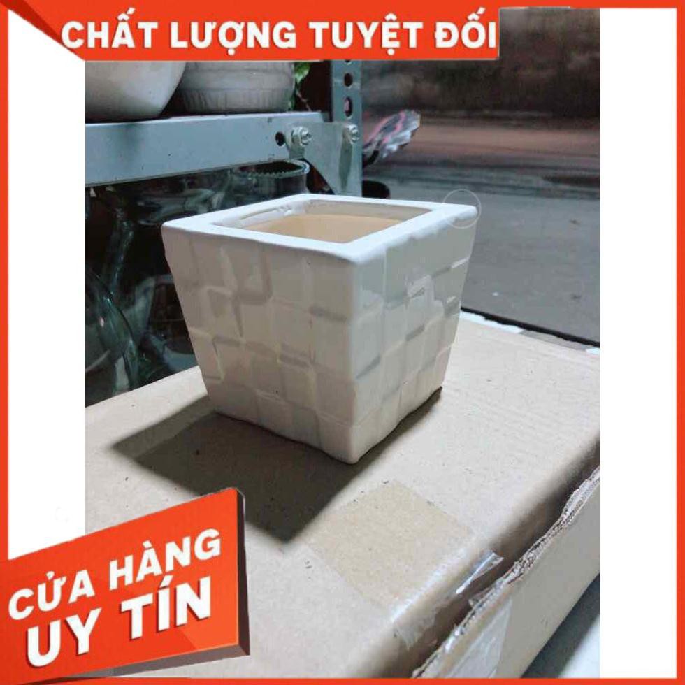 Chậu Trồng Cây Nhiều Người Mua