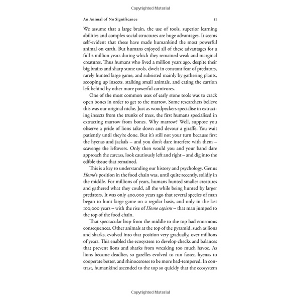 Sách Ngoại văn: Sapiens - A Brief History of Humankind (Patterns of Life)