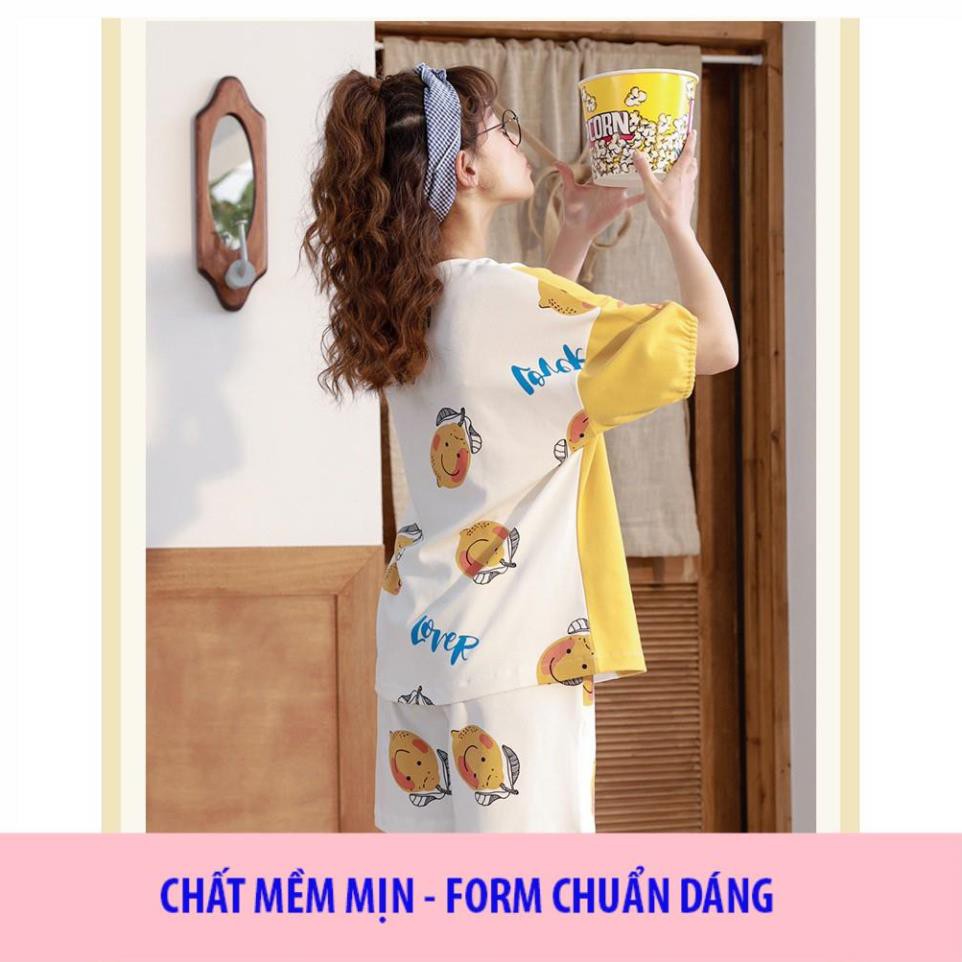 [ SIÊU MỊN - LOẠI I] Đồ Ngủ Nữ - Đồ bộ Cotton Mặc Nhà Họa Tiết Hoa Sang Trọng, Mẫu Đồ Ngủ Mùa Hè Hàng Bán Chạy Hè B1003