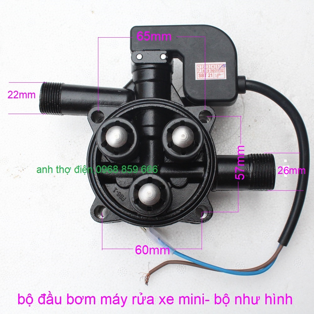 Bộ Đầu Bơm Máy Rửa xe mini(có kèm rơ le điện)