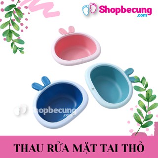 Thau rửa mặt tai thỏ