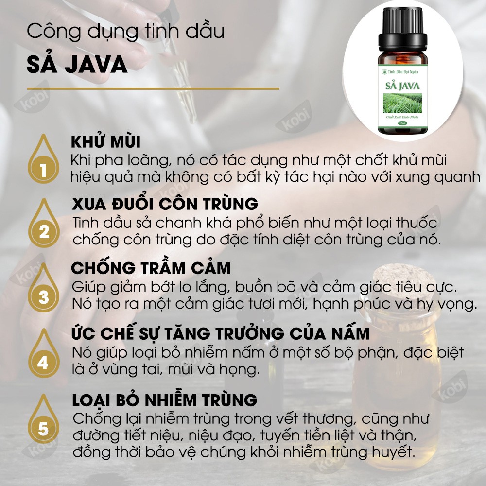 Tinh dầu sả java thơm xông phòng hương thiên nhiên 10ml Đại Ngàn