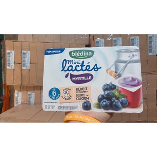 Ván sữa bledina của pháp