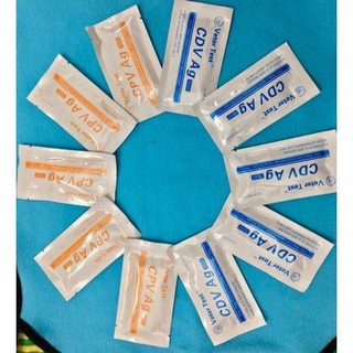 (TSM)  Test bệnh pravo và test care trên chó RẺ NHẤT
