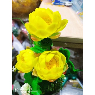 Chậu Sen đất sét ~30cm thành phẩm luôn chậu