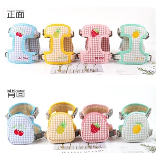 DP261 - Dây dẫn thú cưng có balo hình trái cây, quần áo chó mèo