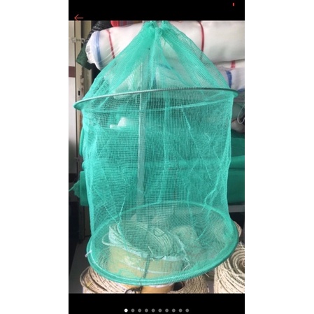 Lòng rộng cá