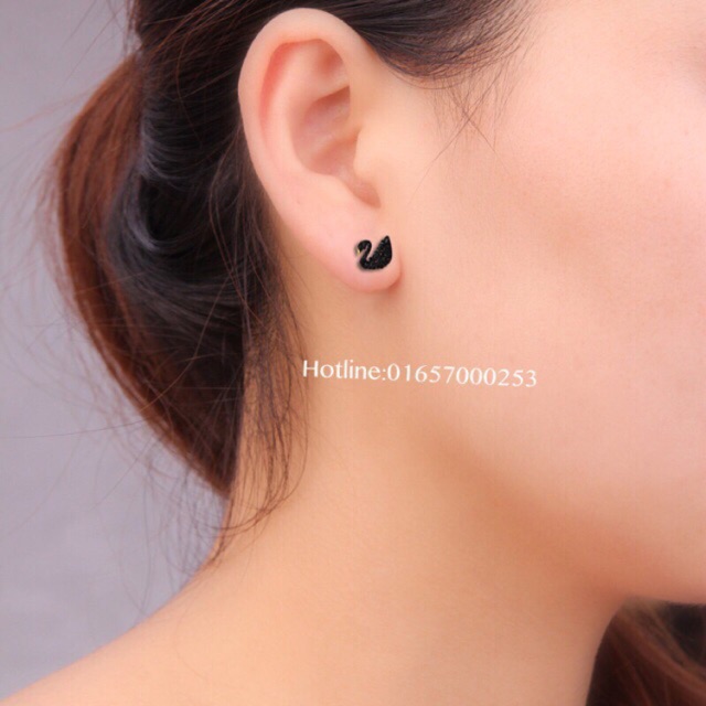 Bông tai thiên nga đen chuẩn bạc ta- THJ SLIVER