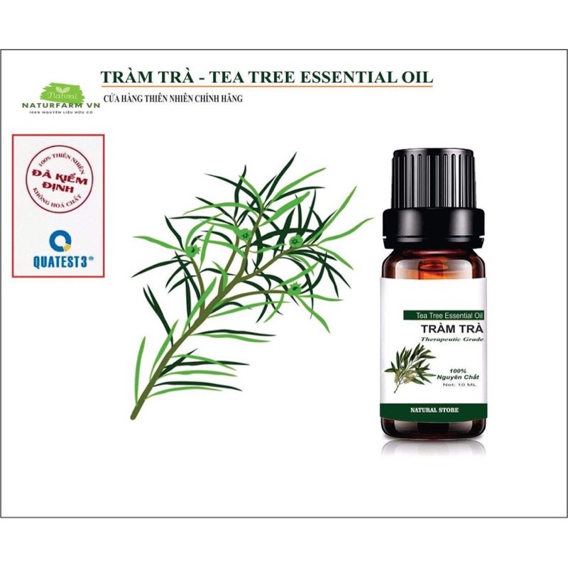 [ 10ML ] Tinh Dầu Tràm Trà 100% Organic - Chai nhỏ giọt ( Tea Tree Oil )