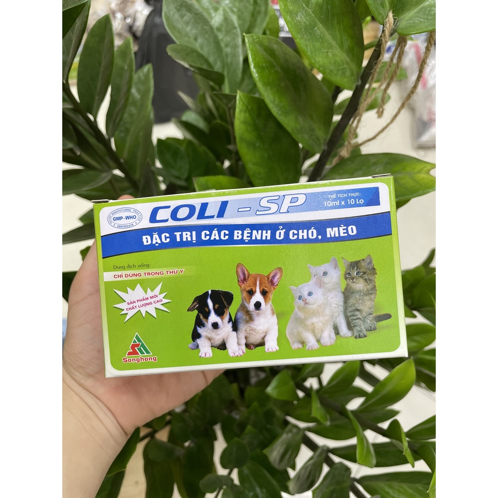 Lọ Coli-SP 10ml dung dịch đặc trị các bệnh ở chó mèo chai 10ml