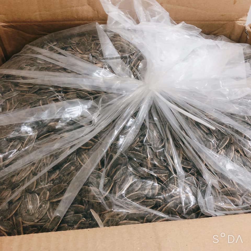 Hướng dương vị tẩm vị dừa, óc chó, táo đỏ, caramen loại ngon túi zip 500gram