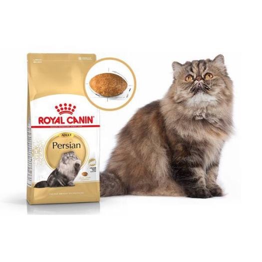 Hạt Royal Canin Persian -Dành Cho Mèo Ba Tư Lông Dài Trưởng Thành