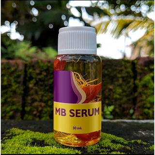 Dầu SERUM Mb (Cửa Hàng Nhiệt Đới)