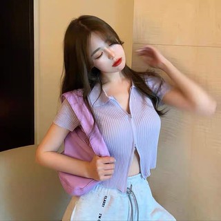 Áo len mỏng cộc tay cổ bẻ 2 khoá