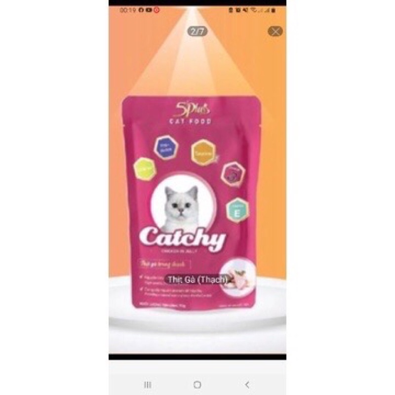 PATE catchy 70g , thức ăn cho mèo con và mèo lớn