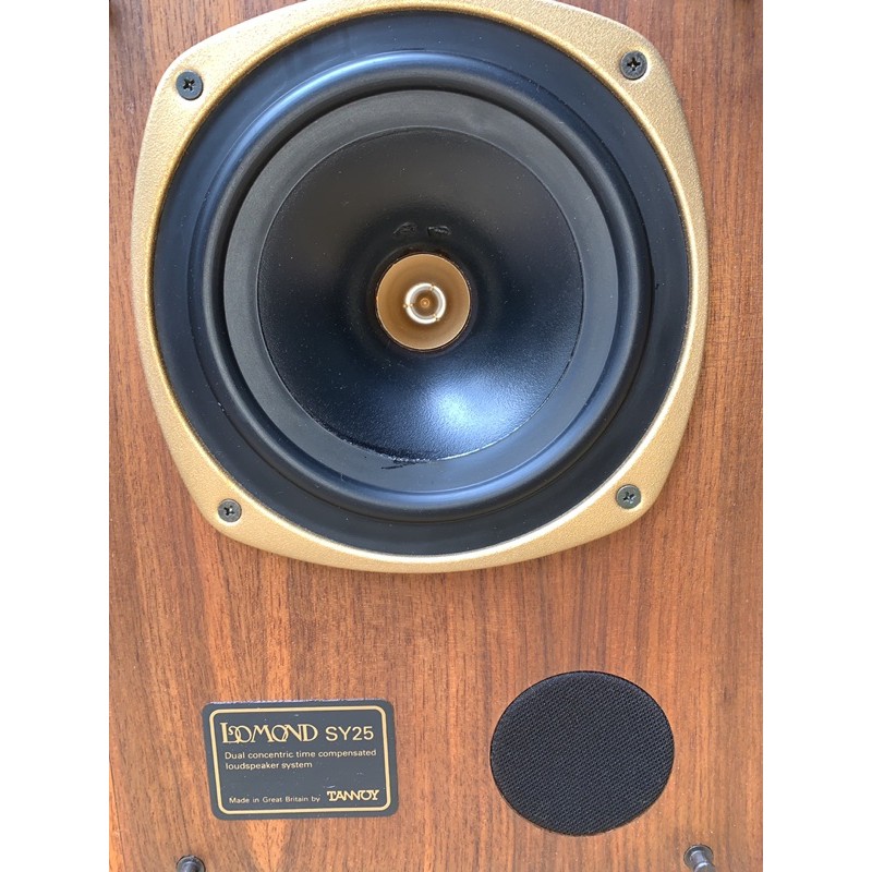 Loa tannoy SY25