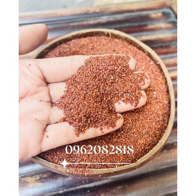 Hạt Ngũ Hoa - Hạt Đình Lịch Nguyên Chất Hạt Sạch - Kết Dính Tốt Cao Cấp Chuyên Dùng Trong Spa TMV- thienhangspa