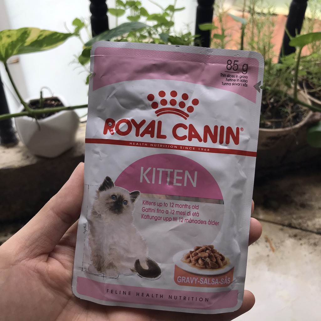 Combo 5 Hạt ướt cho mèo con Royal Canin Kitten wet, thức ăn cho mèo con