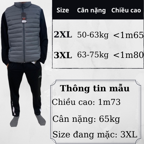 Áo phao Gile nam siêu nhẹ 3 lớp cao cấp, Áo khoác Gile nam vải mềm, nhẹ giữ ấm tốt, không phai màu khi giặt AP01