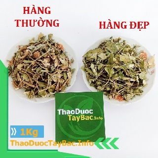 Dây Thìa Canh ổn định đường huyết .Hàng khô