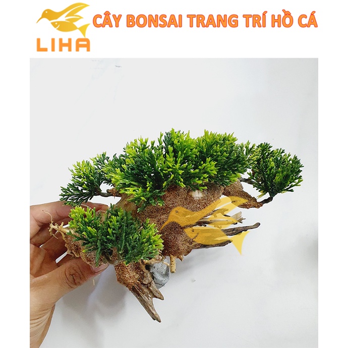 Cây Lũa Bonsai Ghép Lá Nhựa Giả Trang Trí Hồ Bể Cá- Lũa Bonsai Bể Thủy Sinh