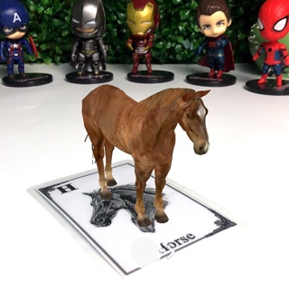 THẺ ANIMAL 4D - THẾ GIỚI ĐỘNG VẬT TRÊN ẢNH 4D