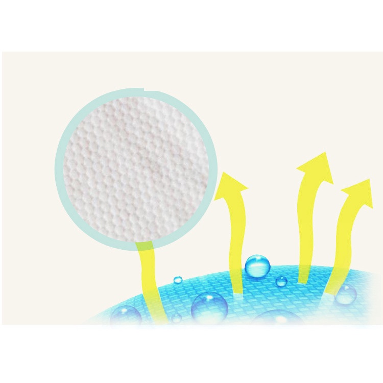 1 Bịch Bỉm/Tã quần cho chó (bé cái)