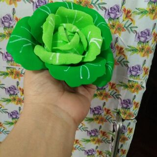 Bắp cải, súp lơ