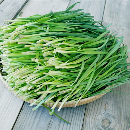 Hạt Giống Hẹ Cao Sản, Chất Lượng Cao 1gr